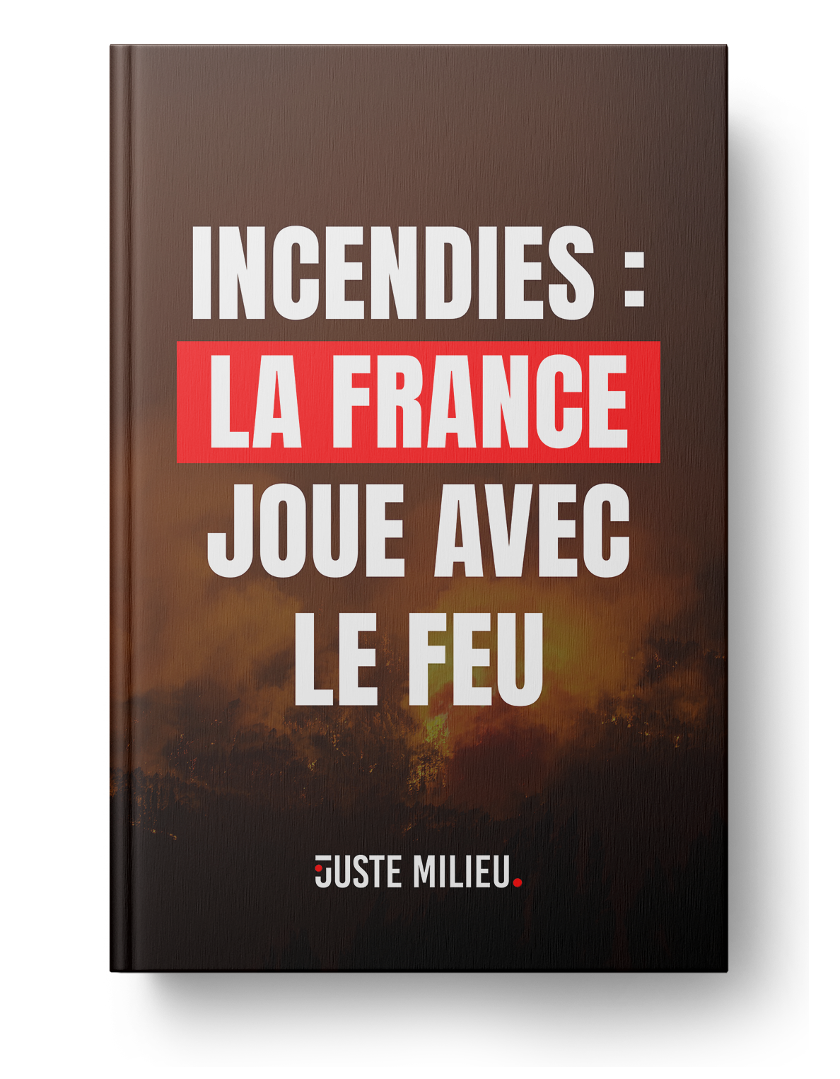 Dossier Incendies
