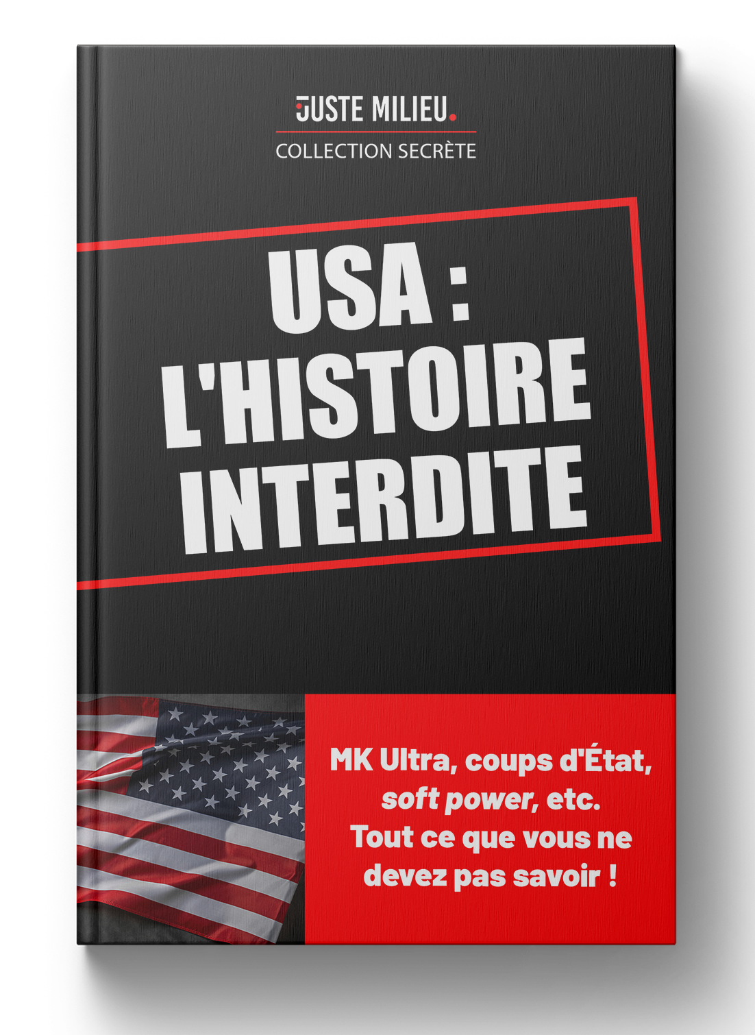 USA : l'histoire interdite